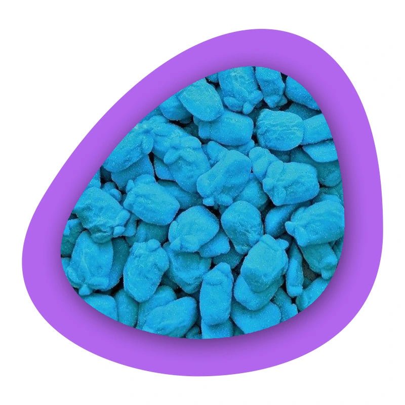 Dulceplus Framboises Bleues Acides - Candibox