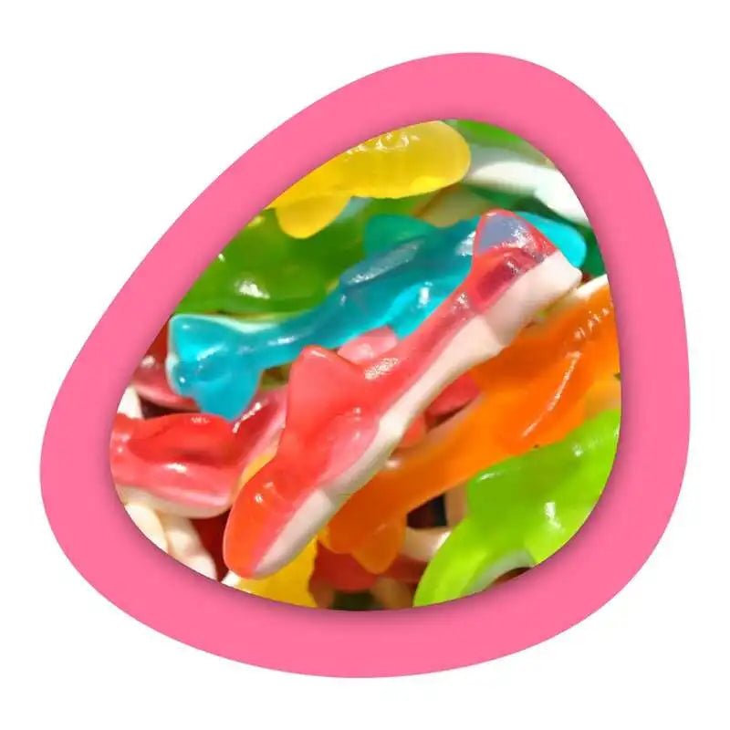 Dulceplus Requins Lisses - Candibox