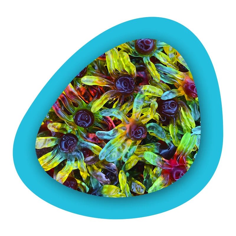 Trolli Pieuvres Lisses - Candibox