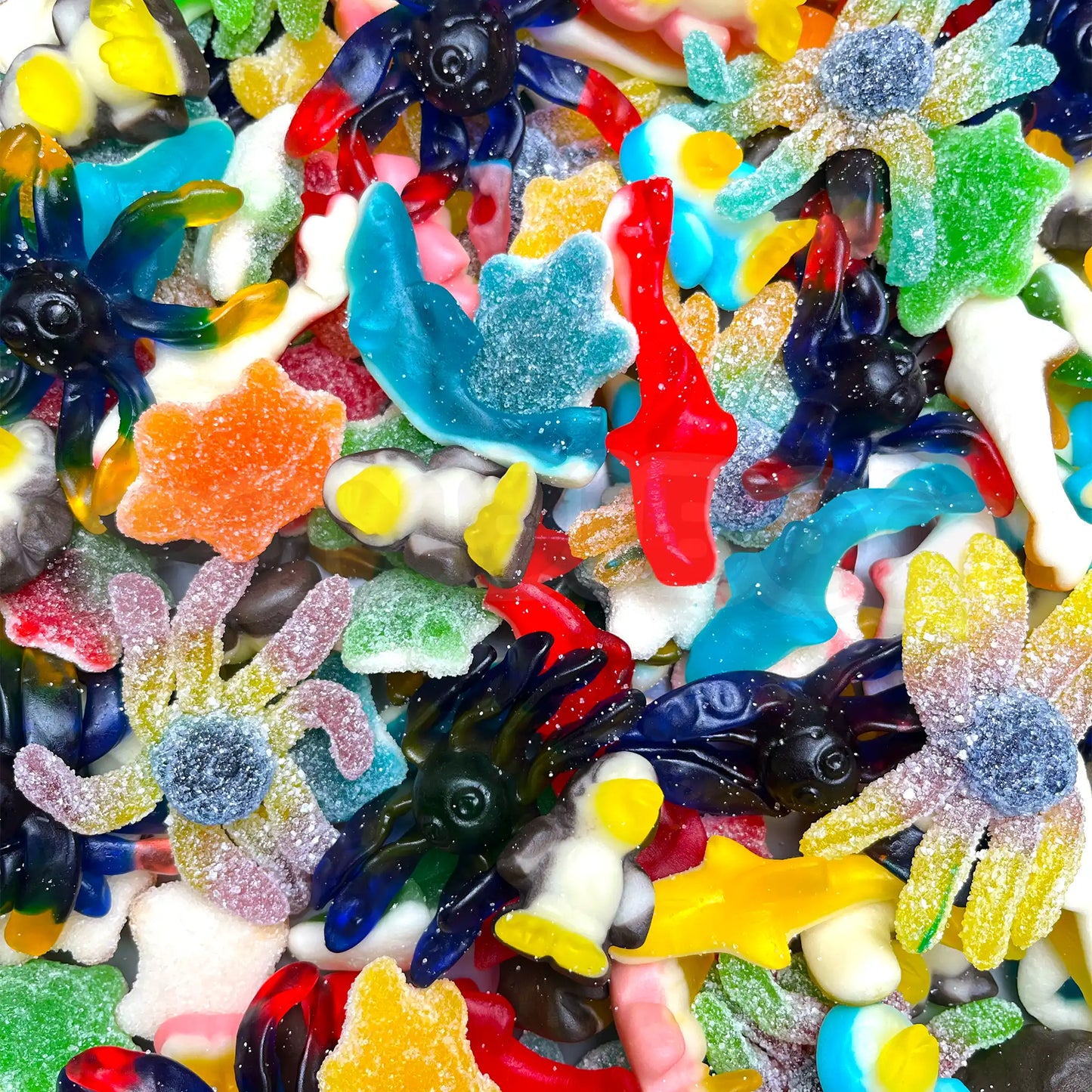 Bonbons en vrac pieuvres, pingouins et requins pour fête