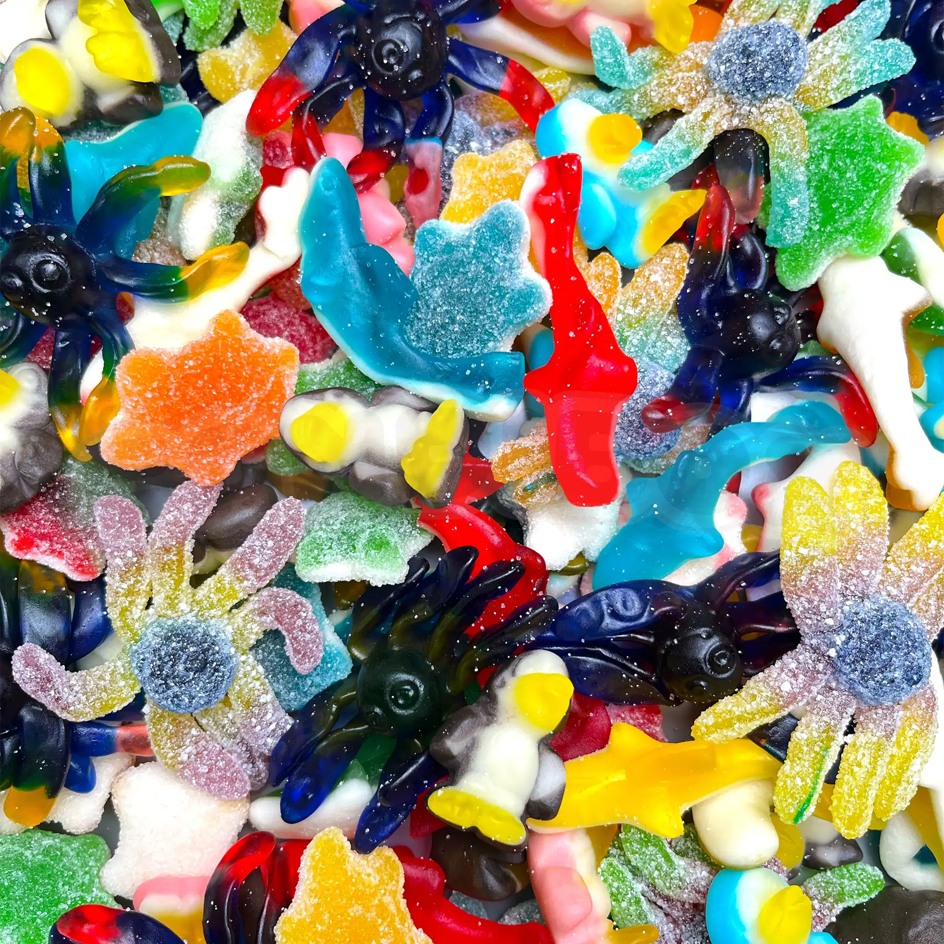 Bonbons en vrac pieuvres, pingouins et requins pour fête